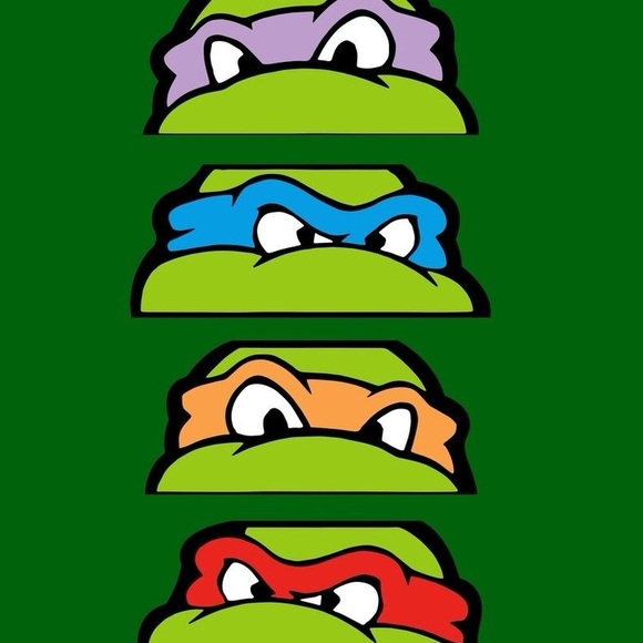 Small Ninja Turtle - Picture 15 of 16